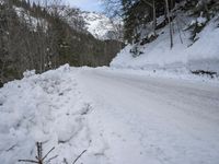 a snow - covered road in the middle of some trees and a snowy hill side