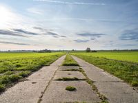 a long narrow path through an open green field leading to grass with trees in distance