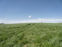 an empty road is shown in a field full of green grass with some clouds overhead