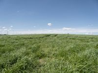 an empty road is shown in a field full of green grass with some clouds overhead