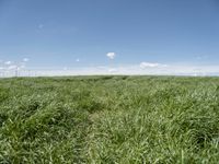 an empty road is shown in a field full of green grass with some clouds overhead