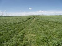 an empty road is shown in a field full of green grass with some clouds overhead