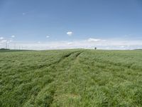 an empty road is shown in a field full of green grass with some clouds overhead