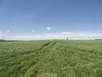 an empty road is shown in a field full of green grass with some clouds overhead