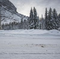 a lone person in skis is walking in the snow beside snow covered trees and a cliff