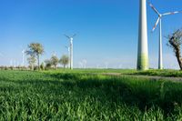 Germany's Asphalt Road: A Daytime Landscape