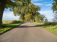 Germany's Asphalt Road: A Scenic Landscape View