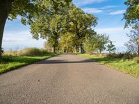 Germany's Asphalt Road: A Scenic Landscape View