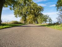 Germany's Asphalt Road: A Scenic Landscape View