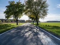 Autumn Road in Berlin, Germany: Captivating Landscape