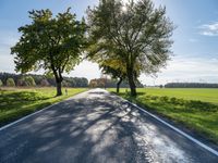 Autumn Road in Berlin, Germany: Captivating Landscape