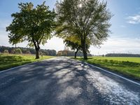 Autumn Road in Berlin, Germany: Captivating Landscape