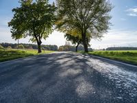 Autumn Road in Berlin, Germany: Captivating Landscape