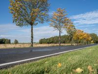 Autumn Road in Germany: Connecting with Nature in Berlin