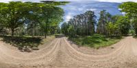 two identical fisheye photographs of dirt roads in the trees and on the ground, and the road has been paved