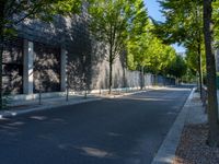 the side walk of a road with tree lined sidewalks and trees lining both sides of the street