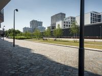 Germany's Business District with Clear Skies