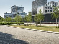 Germany's Business District with Clear Skies