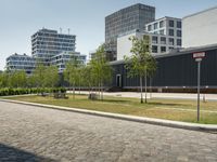 Germany's Business District with Clear Skies