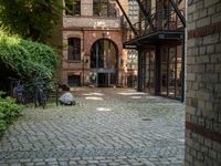 bicycles parked on a brick walkway between buildings and trees that are closed off in the shade