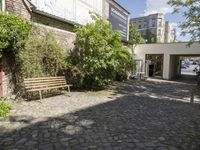 empty cobblestone path surrounded by greenery in public park area with building in background