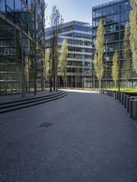 Germany's City Life: Glass Wall Offices