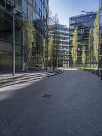 Germany's City Life: Glass Wall Offices