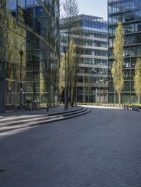 Germany's City Life: Glass Wall Offices