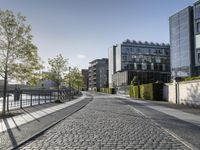 Germany City by the River with Tree and Clear Sky