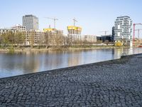 Germany's City: A Reflection on Water