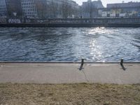Germany: Clear Sky, Bridges, and Pathways Along the River