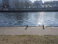 Germany: Clear Sky, Bridges, and Pathways Along the River