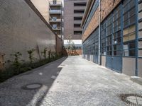 the small courtyard area has a stone path between two brick buildings and a sidewalk between them