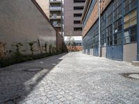 the small courtyard area has a stone path between two brick buildings and a sidewalk between them