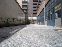 the small courtyard area has a stone path between two brick buildings and a sidewalk between them