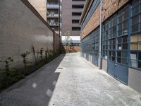 the small courtyard area has a stone path between two brick buildings and a sidewalk between them