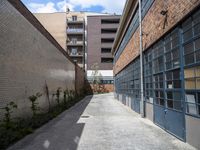 the small courtyard area has a stone path between two brick buildings and a sidewalk between them