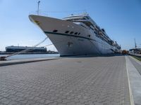 the large white cruise ship has a huge bow and a green stripe on it's side