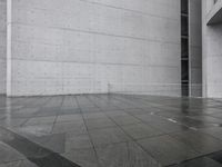 Germany at Dawn: The Beauty of Urban Concrete