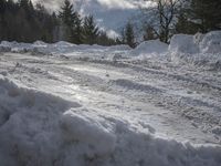 Germany at Dawn: Road Through a Water Landscape