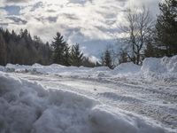 Germany at Dawn: Road Through a Water Landscape