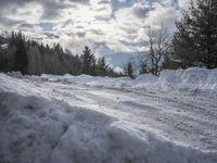 Germany at Dawn: Road Through a Water Landscape