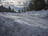 Germany at Dawn: Road Through a Water Landscape