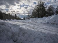 Germany at Dawn: Road Through a Water Landscape