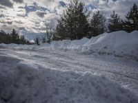 Germany at Dawn: Road Through a Water Landscape