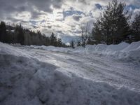 Germany at Dawn: Road Through a Water Landscape
