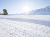 a man on skis going down a snowy hill with trees behind him and a sun shining through the clouds