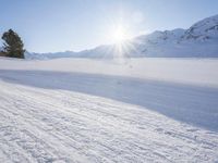 a man on skis going down a snowy hill with trees behind him and a sun shining through the clouds