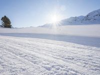 a man on skis going down a snowy hill with trees behind him and a sun shining through the clouds