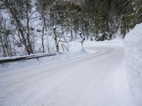 Germany: Day Time Winter Road in Nature